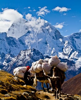 Nepal2011-1008-9862