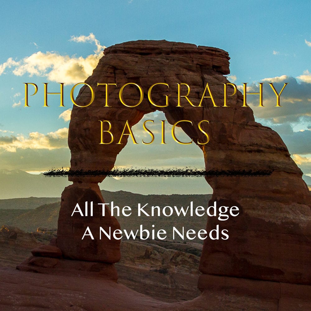 Photography Basics - Go Wide, Get Close
